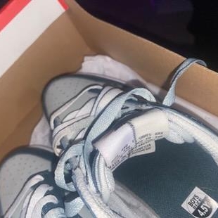 Jordan Dunks